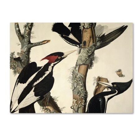 Trademark Fine Art